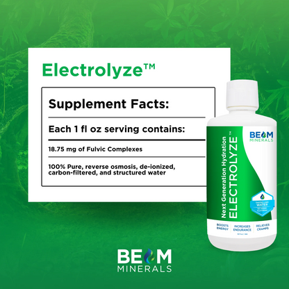 Electrolyze
